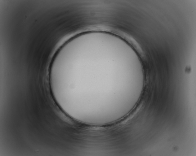 X0000103901184200809191048