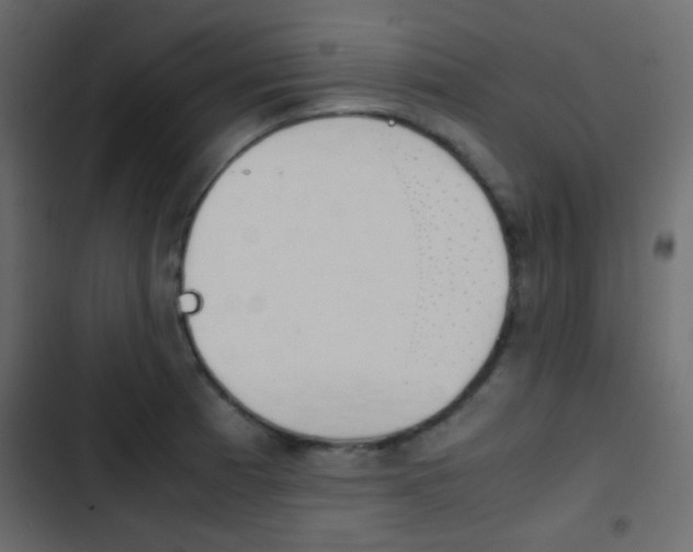 X0000103901185200809191048