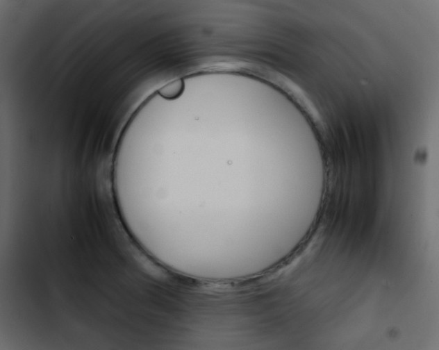 X0000103901186200809191048