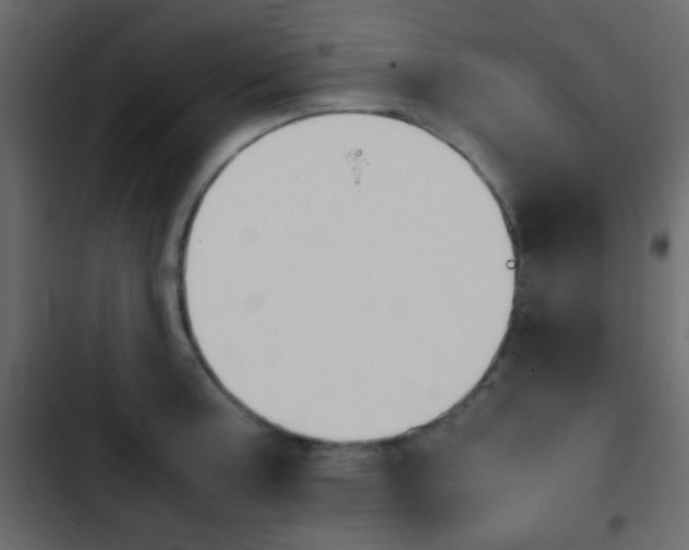 X0000103901187200809191048