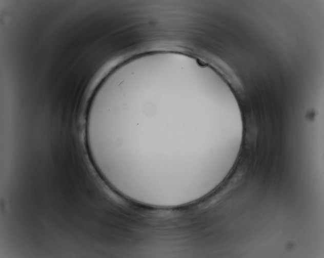 X0000103901188200809191048