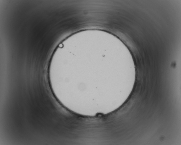 X0000103901189200809191048