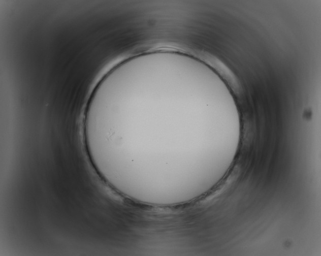 X0000103901190200809191048