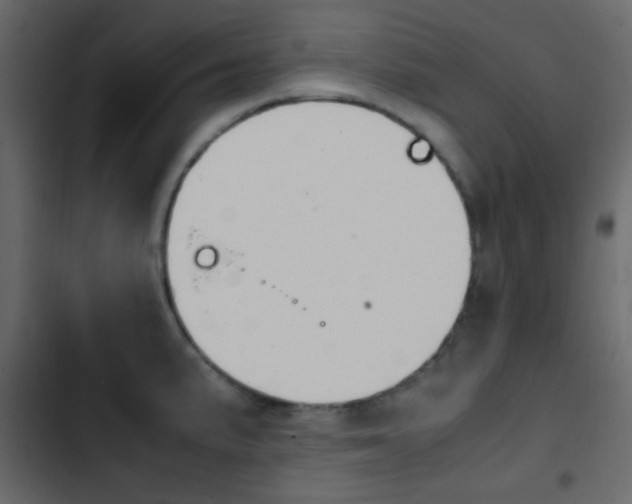 X0000103901191200809191048