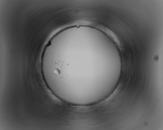 X0000103901192200809191048
