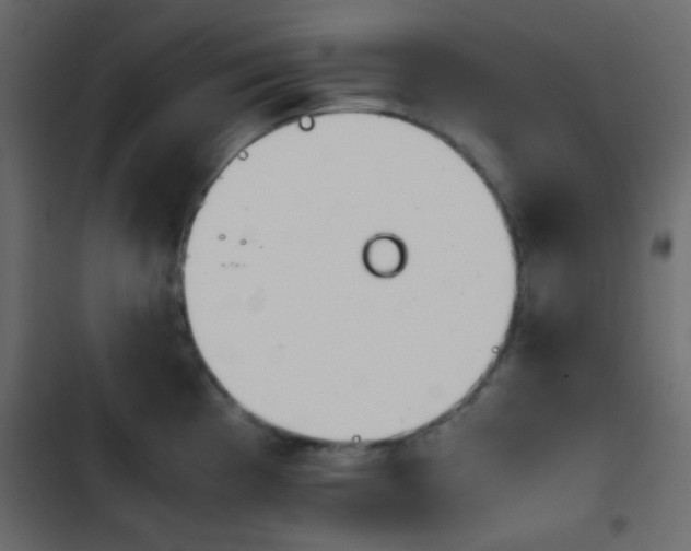 X0000103901193200809191048
