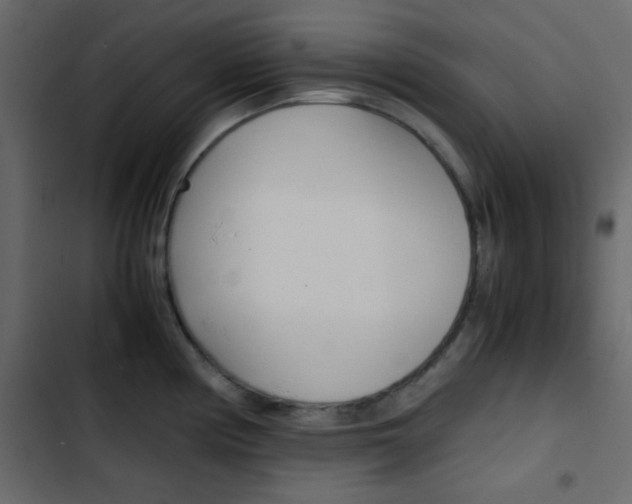 X0000103901194200809191048