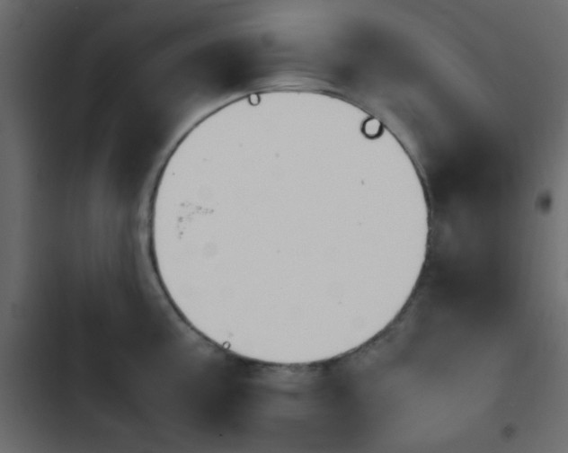 X0000103901195200809191048