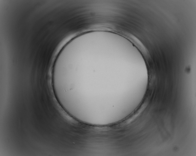 X0000103901196200809191048