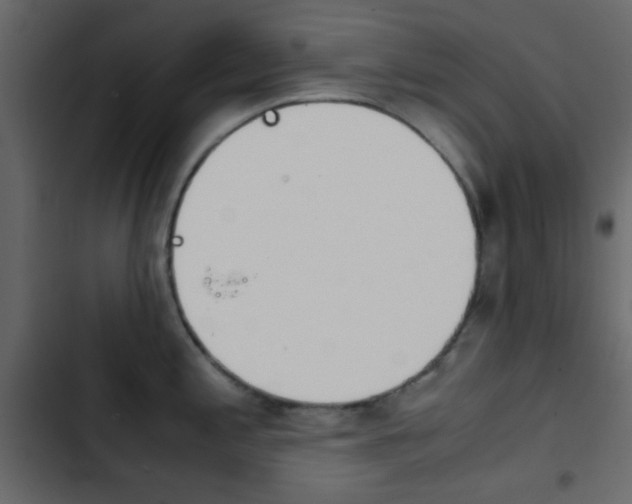 X0000103901197200809191048