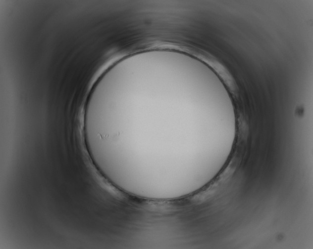 X0000103901198200809191048