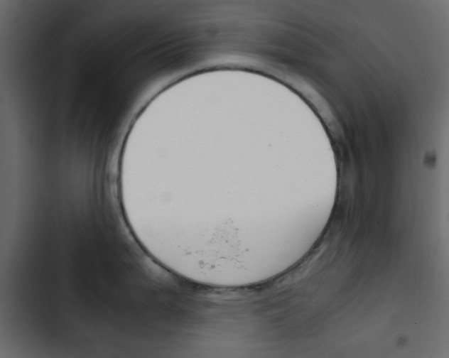 X0000103901199200809191048