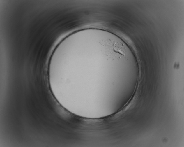 X0000103901200200809191048