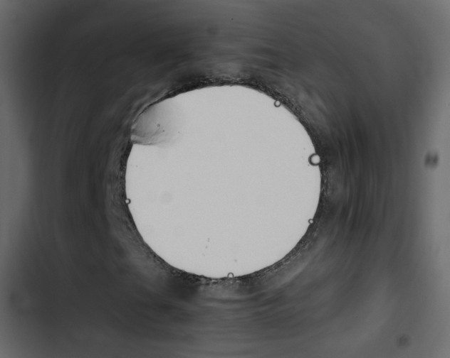 X0000103901201200809191047