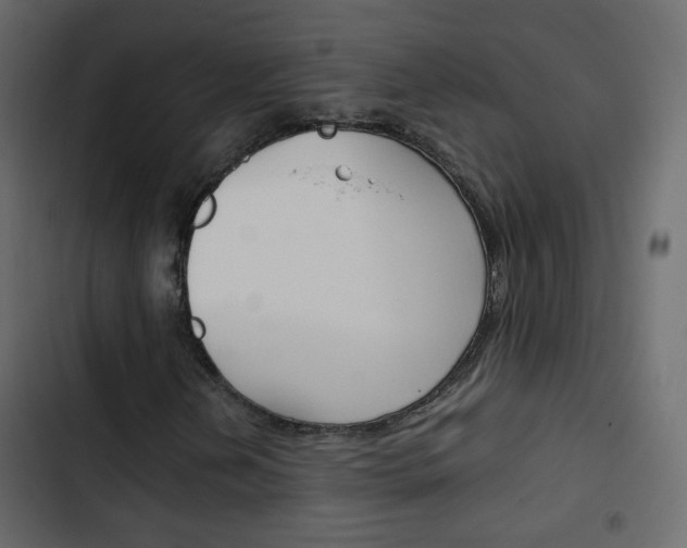 X0000103901202200809191047