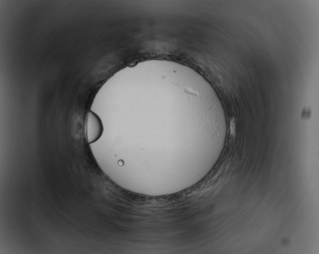X0000103901203200809191047