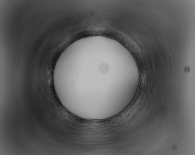 X0000103901204200809191047