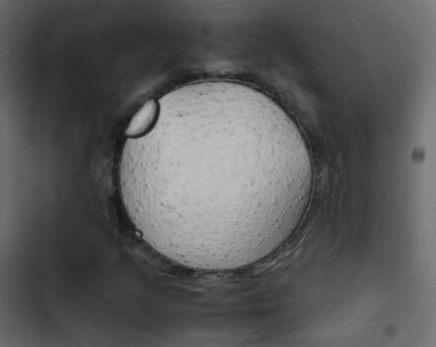 X0000103901205200809191047