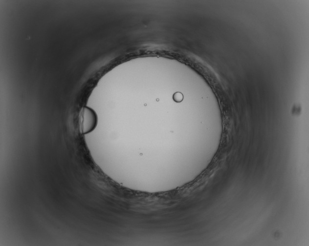 X0000103901207200809191047