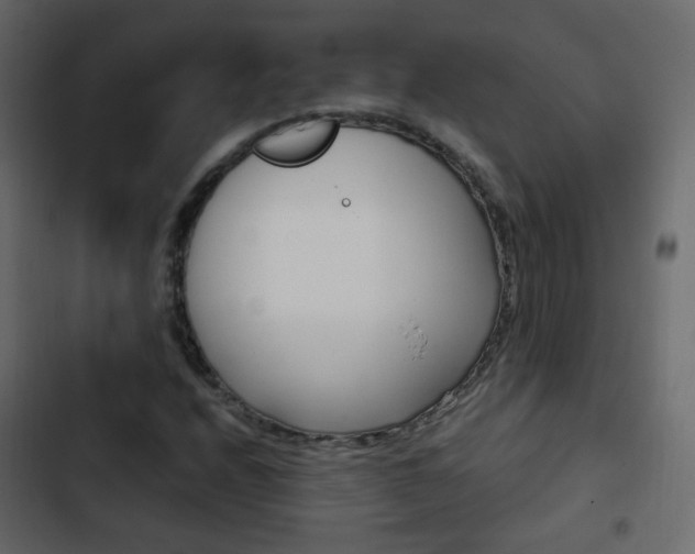 X0000103901208200809191047