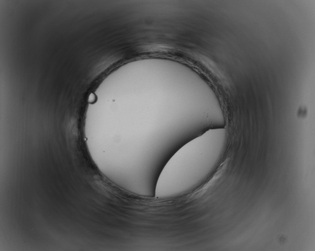 X0000103901209200809191047