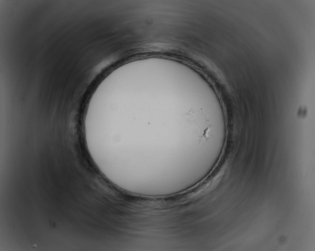 X0000103901210200809191047