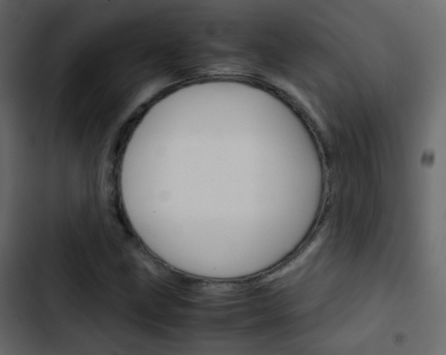 X0000103901211200809191047