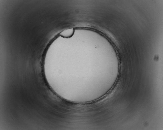 X0000103901212200809191047