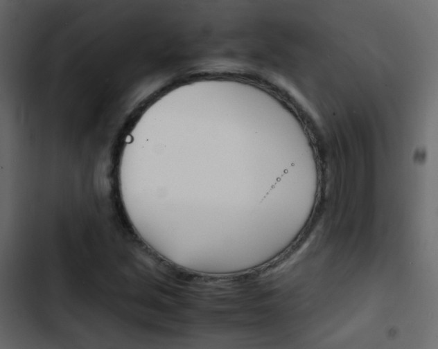X0000103901213200809191047