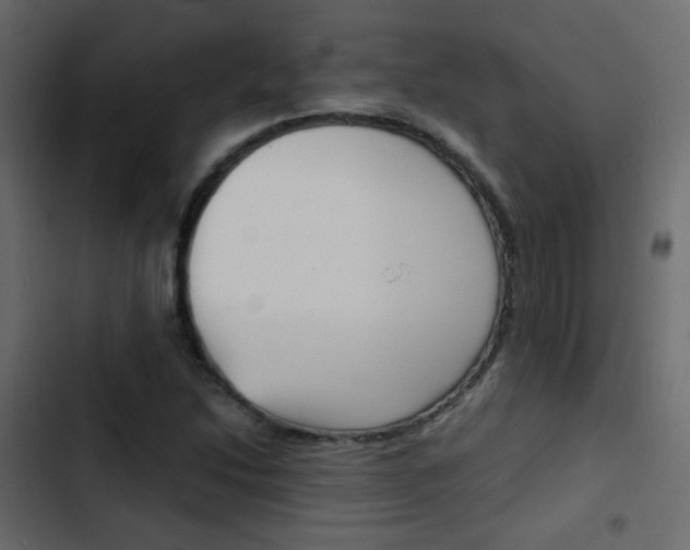 X0000103901214200809191047