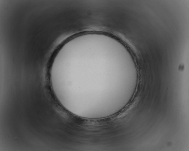 X0000103901215200809191047
