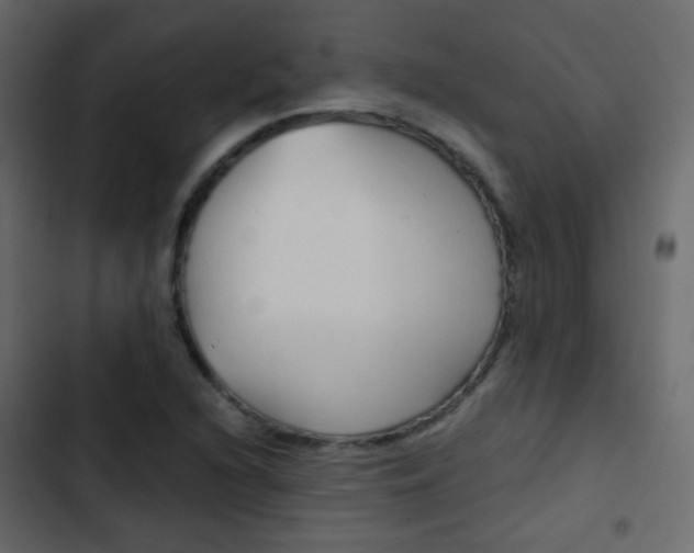 X0000103901216200809191047