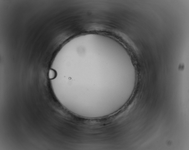 X0000103901217200809191047