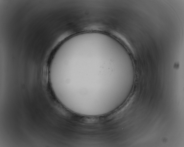 X0000103901219200809191047
