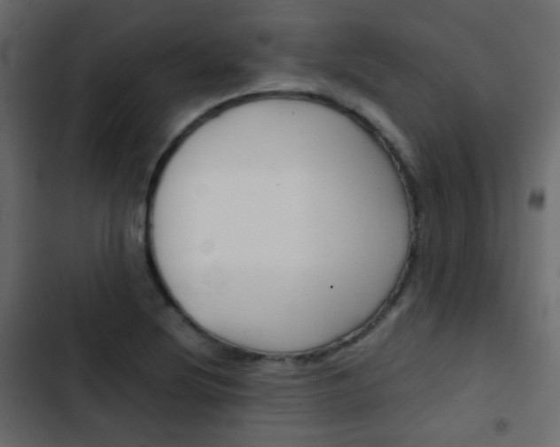X0000103901220200809191047