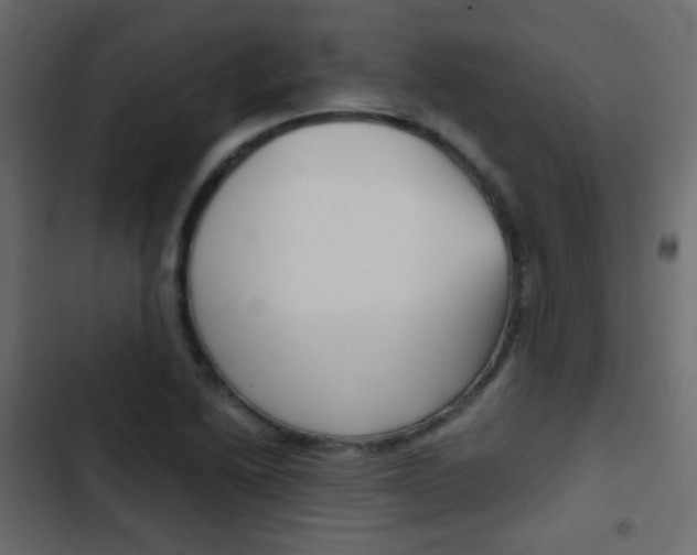 X0000103901222200809191047