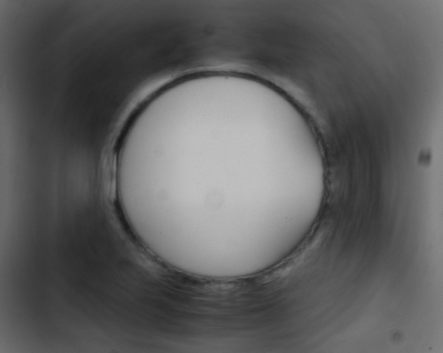 X0000103901223200809191047