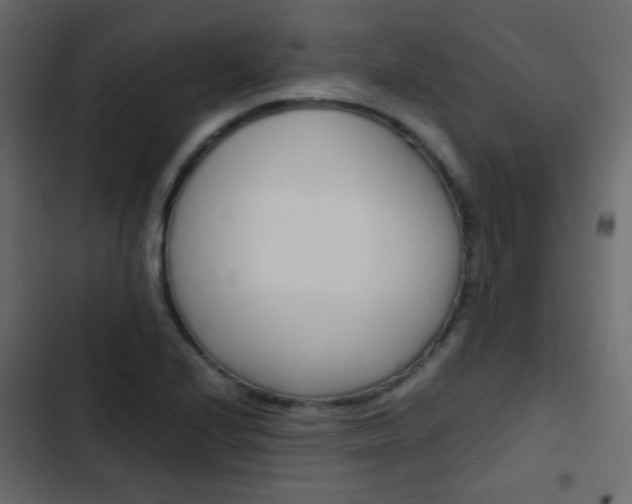 X0000103901224200809191048