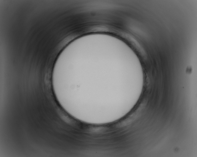 X0000103901225200809191048
