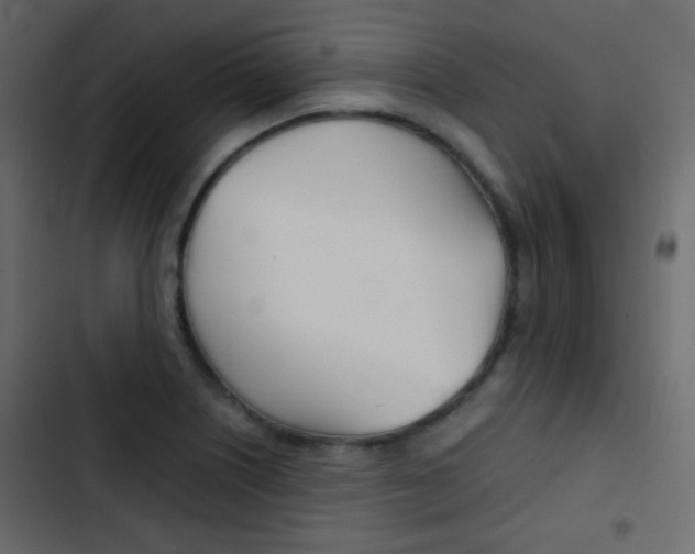 X0000103901226200809191048