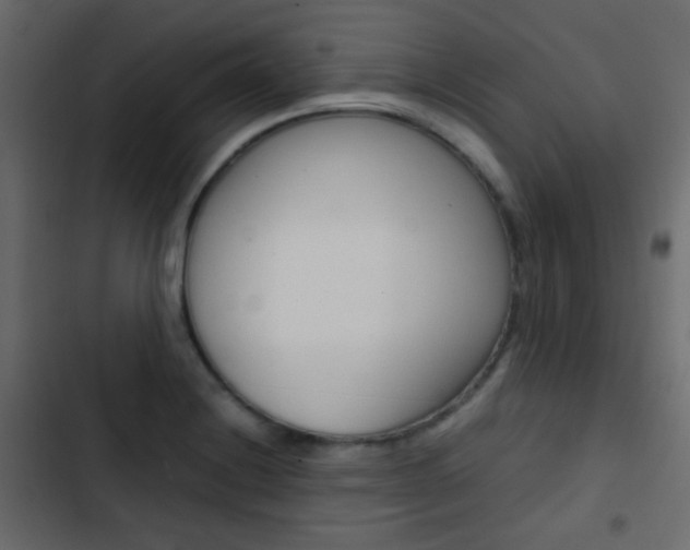 X0000103901228200809191048