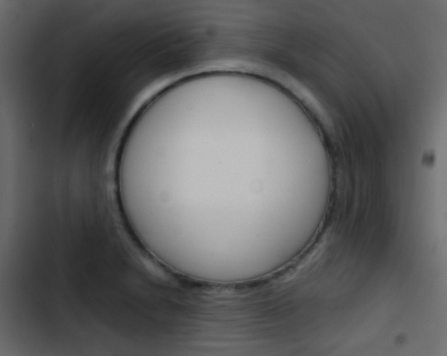 X0000103901230200809191048