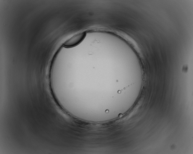 X0000103901231200809191048