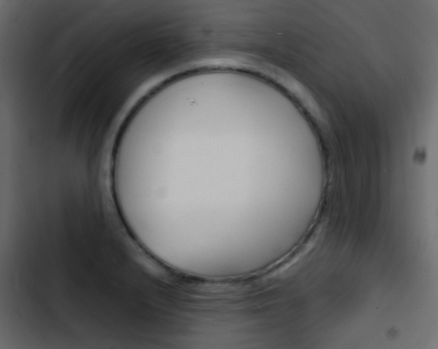 X0000103901232200809191048