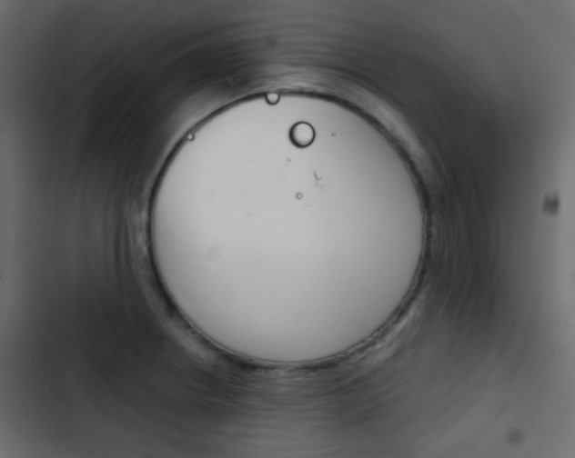 X0000103901234200809191048