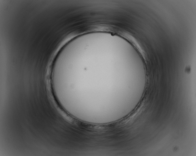 X0000103901235200809191048