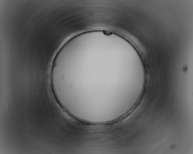 X0000103901236200809191048