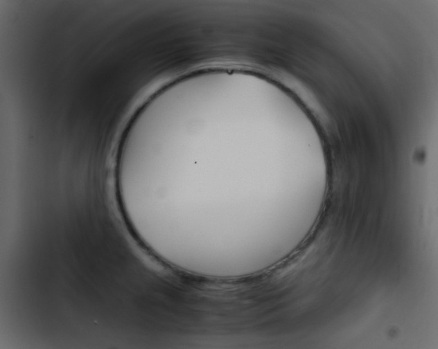 X0000103901237200809191048