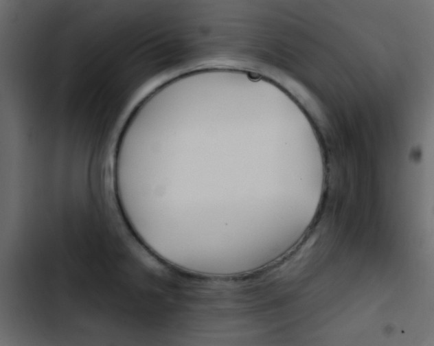 X0000103901238200809191048