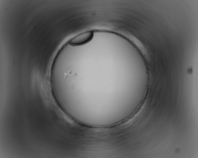 X0000103901240200809191048